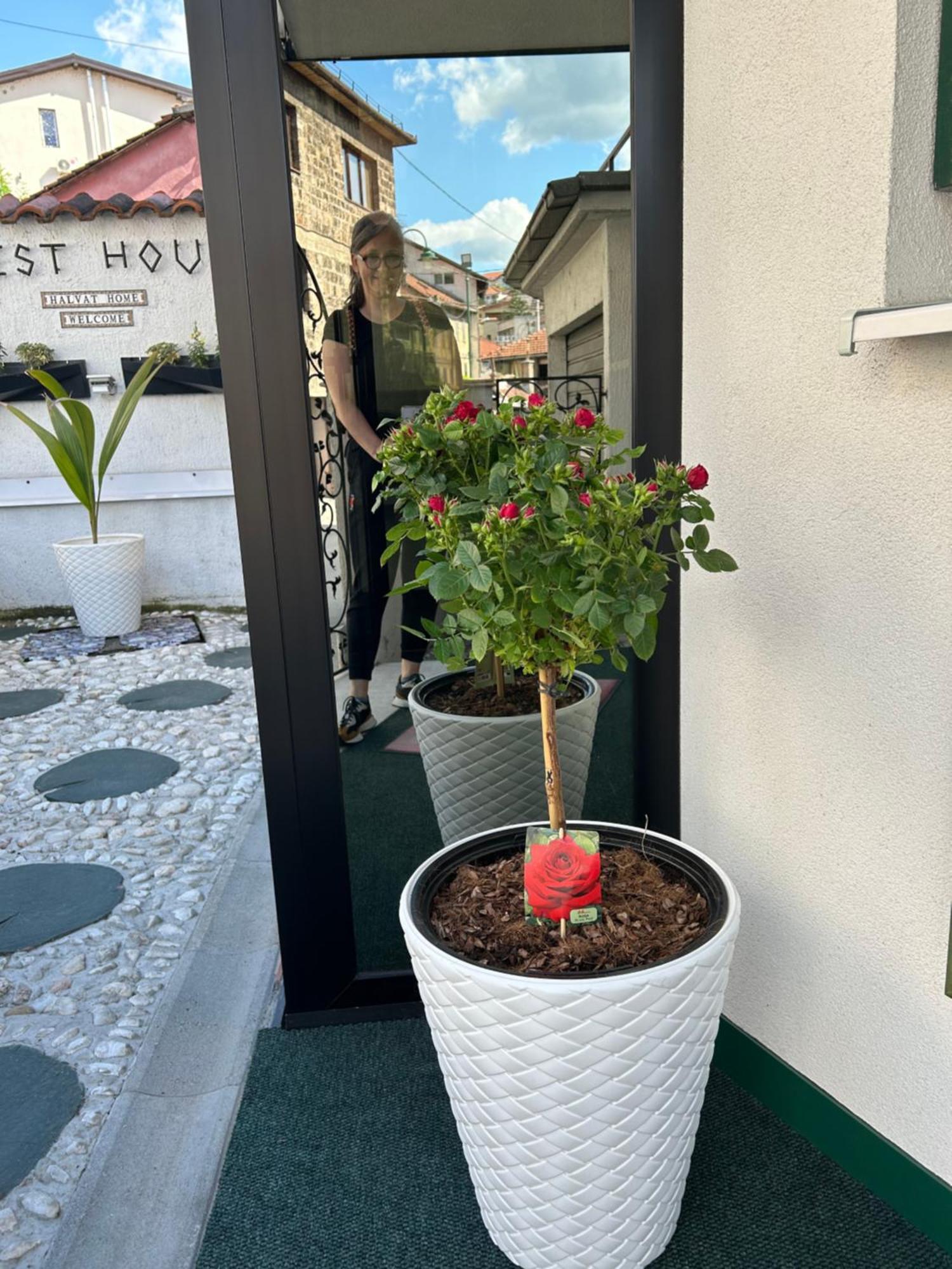Halvat Guesthouse SJJ Eksteriør billede